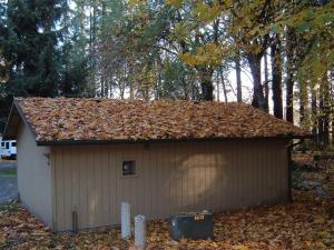 Leaves on Roof