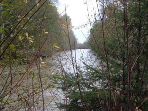 Skokomish River Bend