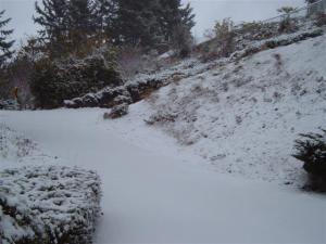 Driveway Snow 2010