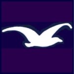 TI Gull Logo