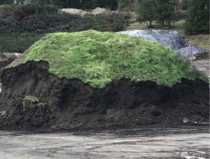 Topsoil Mountain topsoil mountain