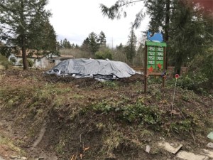 Rocky Point Building Site