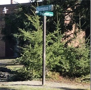 The only good view from here is to the west. Sylvan and Olympus